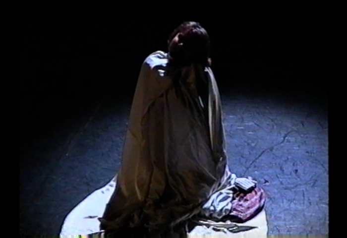 Die menschliche Stimme. Regie: Kay Link